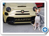 222 ABARTH